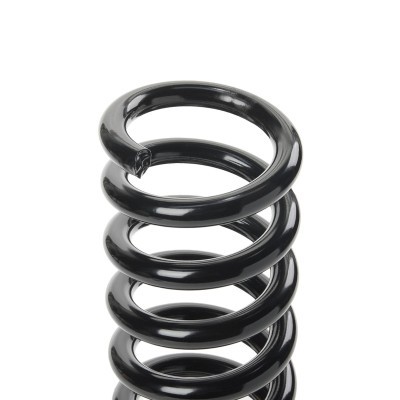 Suspension Spring RIDEX 188C0884 188C0884 - photo 4
