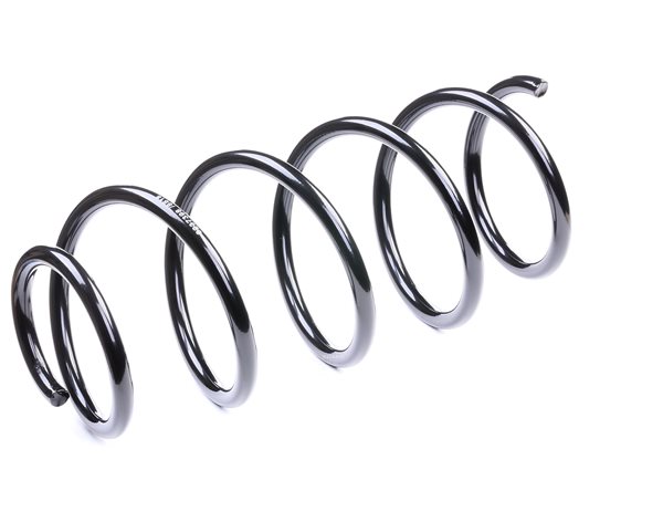 Suspension Spring RIDEX 188C0117 188C0117 - photo 1