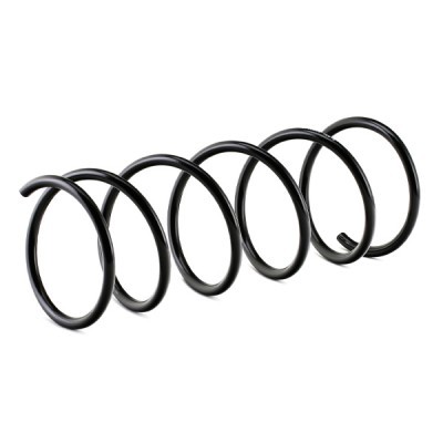 Suspension Spring RIDEX 188C0415 188C0415 - photo 4