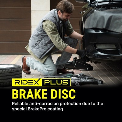 Brake Disc RIDEX 82B0202P 82B0202P - photo 3