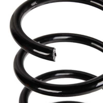 Suspension Spring RIDEX 188C1153 188C1153 - photo 4