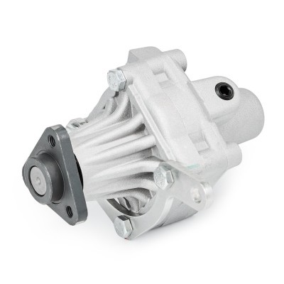 Hydraulic Pump, Steering System RIDEX 12H0201R 12H0201R - photo 3