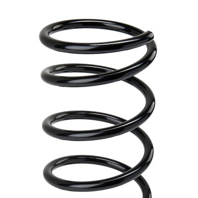Suspension Spring RIDEX 188C0621 188C0621 - photo 3