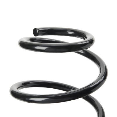 Suspension Spring RIDEX 188C1438 188C1438 - photo 3