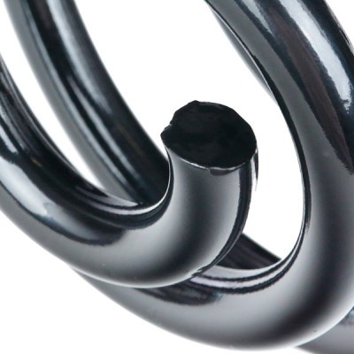 Suspension Spring RIDEX 188C0120 188C0120 - photo 4