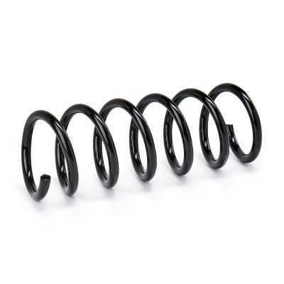 Suspension Spring RIDEX 188C1821 188C1821 - photo 2