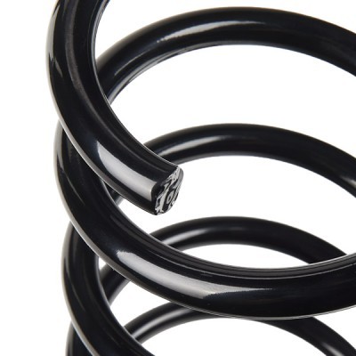 Suspension Spring RIDEX 188C0909 188C0909 - photo 4