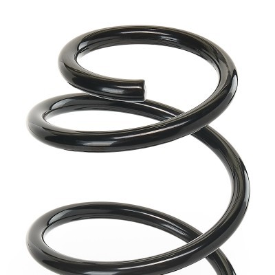 Suspension Spring RIDEX 188C0128 188C0128 - photo 4
