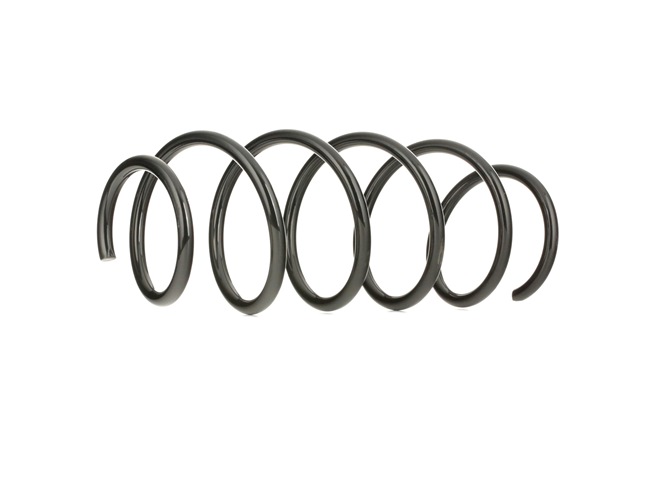 Suspension Spring RIDEX 188C0073 188C0073 - photo 1