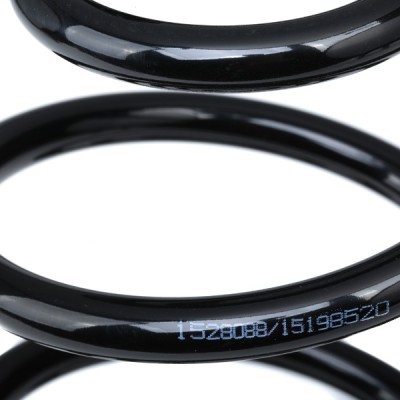 Suspension Spring RIDEX 188C0854 188C0854 - photo 4