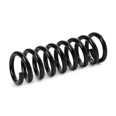 Suspension Spring RIDEX 188C0884 188C0884 - photo 3