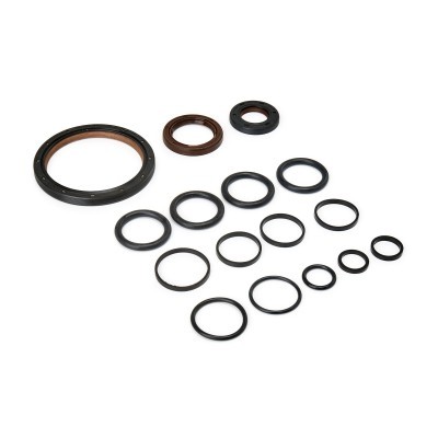 Engine Gasket Kit RIDEX 560F0504 560F0504 - photo 6