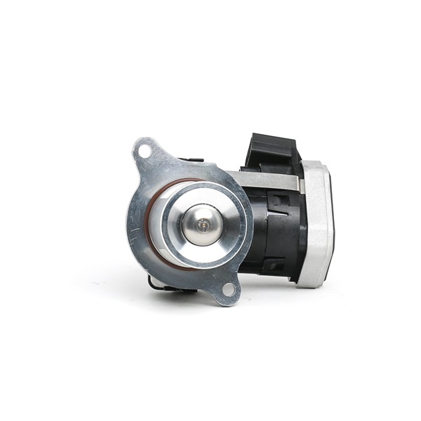 EGR Valve Stark SKEGR-0770073 SKEGR-0770073 - photo 1