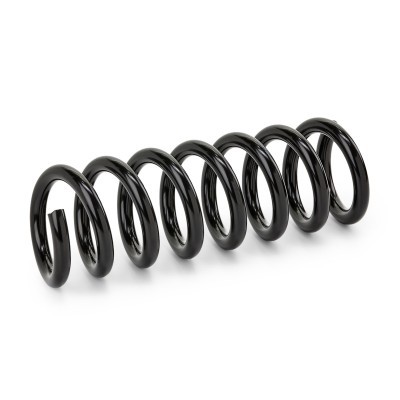 Suspension Spring RIDEX 188C0261 188C0261 - photo 3