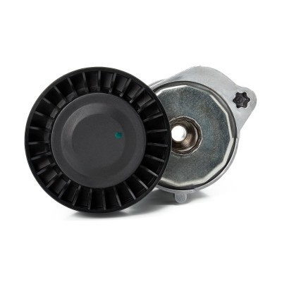 Belt Tensioner V-Ribbed Belt RIDEX 310T0037 310T0037 - photo 6