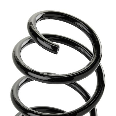 Suspension Spring RIDEX 188C1615 188C1615 - photo 3