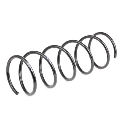 Suspension Spring RIDEX 188C0415 188C0415 - photo 3