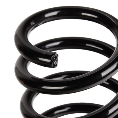 Suspension Spring RIDEX 188C1173 188C1173 - photo 4