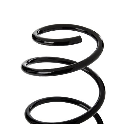Suspension Spring RIDEX 188C2155 188C2155 - photo 3