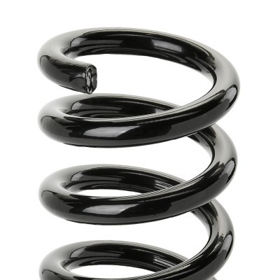 Suspension Spring RIDEX 188C1919 188C1919 - photo 3