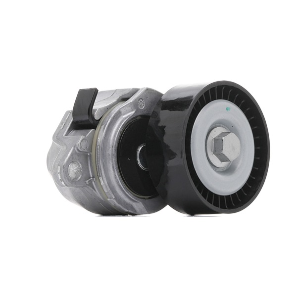 Belt Tensioner V-Ribbed Belt RIDEX 310T0382 310T0382 - photo 1
