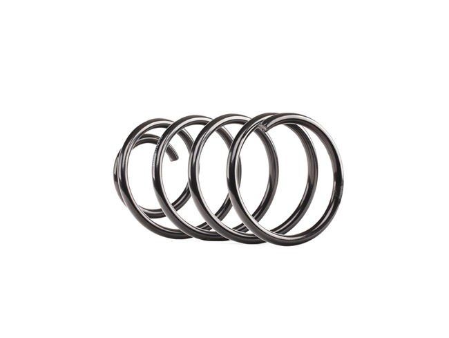 Suspension Spring RIDEX 188C0607 188C0607 - photo 1
