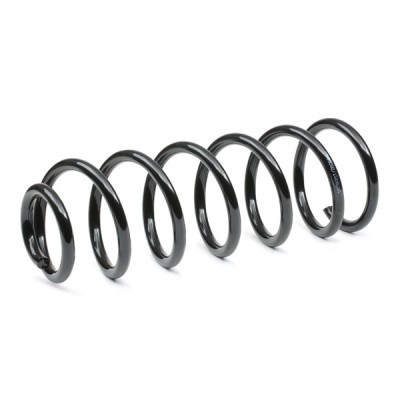 Suspension Spring RIDEX 188C0741 188C0741 - photo 3