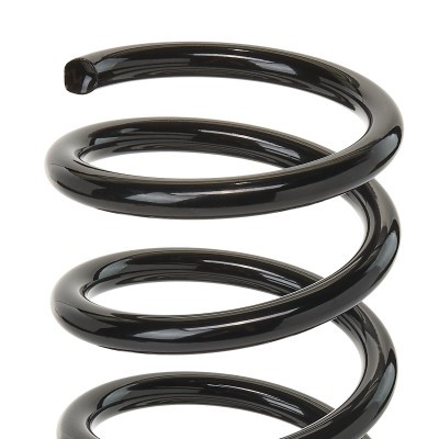 Suspension Spring RIDEX 188C0152 188C0152 - photo 3