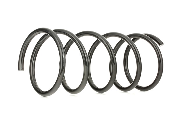Suspension Spring RIDEX 188C0077 188C0077 - photo 1