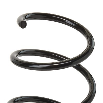 Suspension Spring RIDEX 188C0048 188C0048 - photo 4