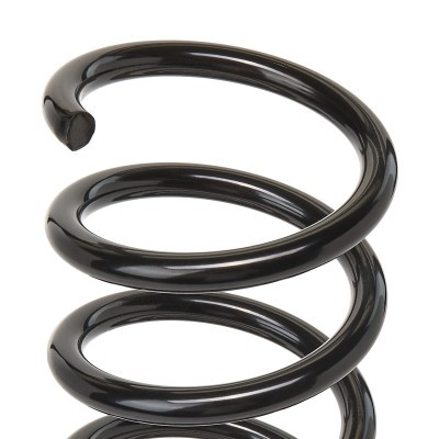 Suspension Spring RIDEX 188C0040 188C0040 - photo 4