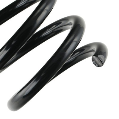Suspension Spring RIDEX 188C0644 188C0644 - photo 5