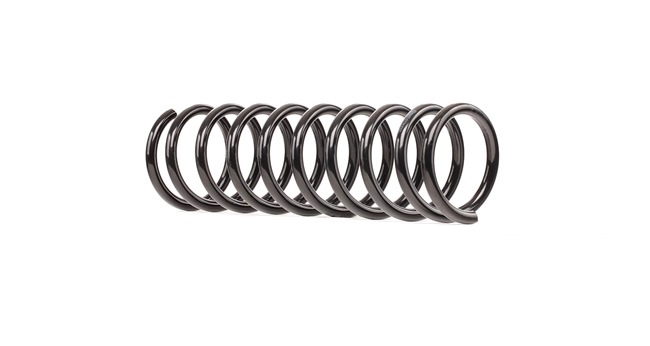 Suspension Spring RIDEX 188C0534 188C0534 - photo 1