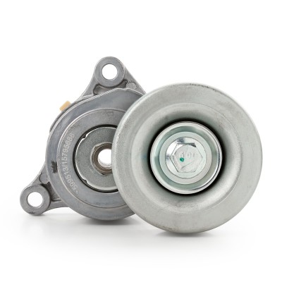 Belt Tensioner V-Ribbed Belt RIDEX 310T0365 310T0365 - photo 9