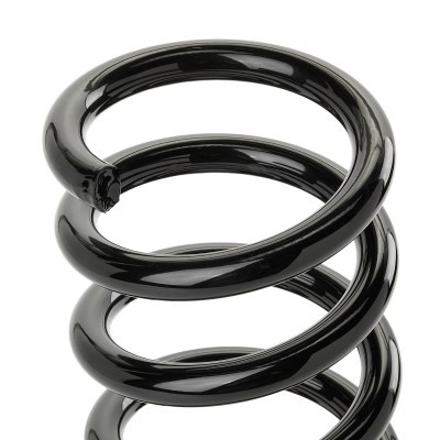 Suspension Spring RIDEX 188C0899 188C0899 - photo 3