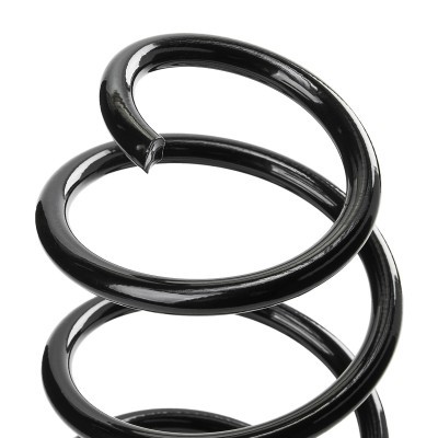 Suspension Spring RIDEX 188C1363 188C1363 - photo 4