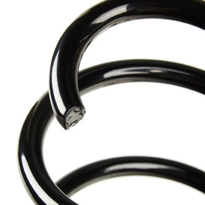Suspension Spring RIDEX 188C0503 188C0503 - photo 4