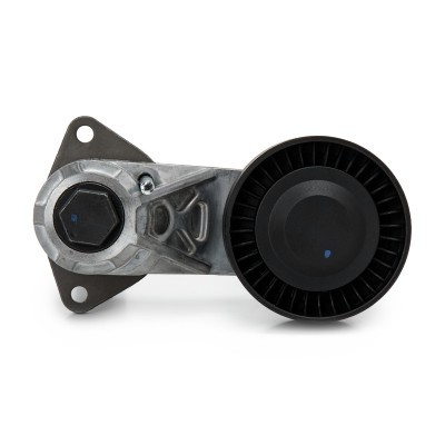 Belt Tensioner V-Ribbed Belt RIDEX 310T0308 310T0308 - photo 5