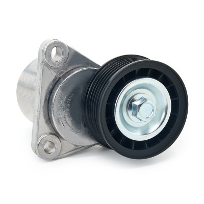 Belt Tensioner V-Ribbed Belt RIDEX 310T0011 310T0011 - photo 4