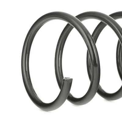 Suspension Spring RIDEX 188C0012 188C0012 - photo 4