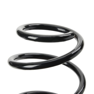 Suspension Spring RIDEX 188C0962 188C0962 - photo 4