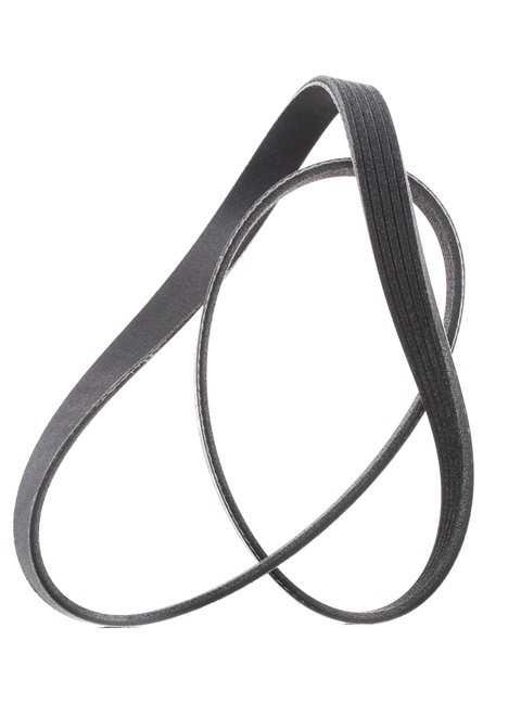V-Belt RIDEX 305P0176P 305P0176P - photo 1