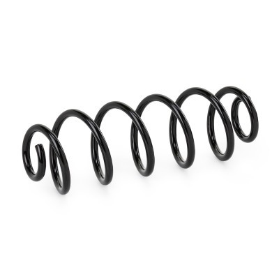 Suspension Spring RIDEX 188C2462 188C2462 - photo 2