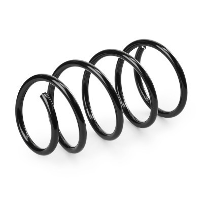 Suspension Spring RIDEX 188C0978 188C0978 - photo 3