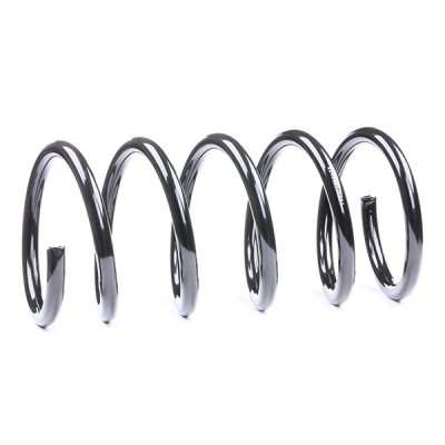 Suspension Spring RIDEX 188C0176 188C0176 - photo 3