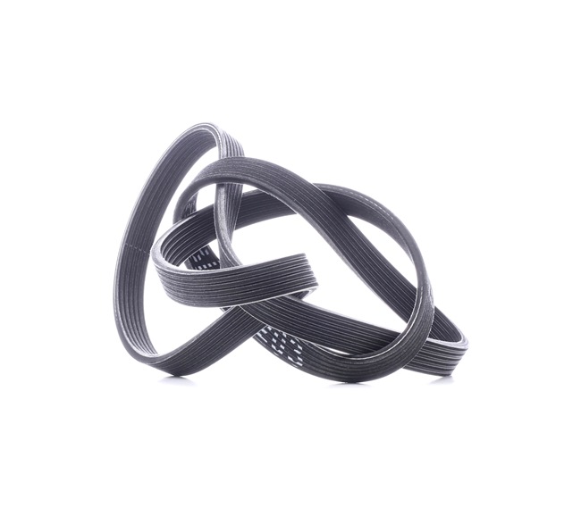 V-Ribbed Belt Stark SKPB-0090134 SKPB-0090134 - photo 1