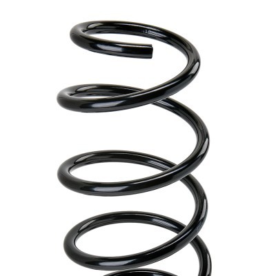 Suspension Spring RIDEX 188C1666 188C1666 - photo 3