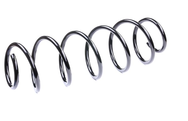 Suspension Spring RIDEX 188C0053 188C0053 - photo 1