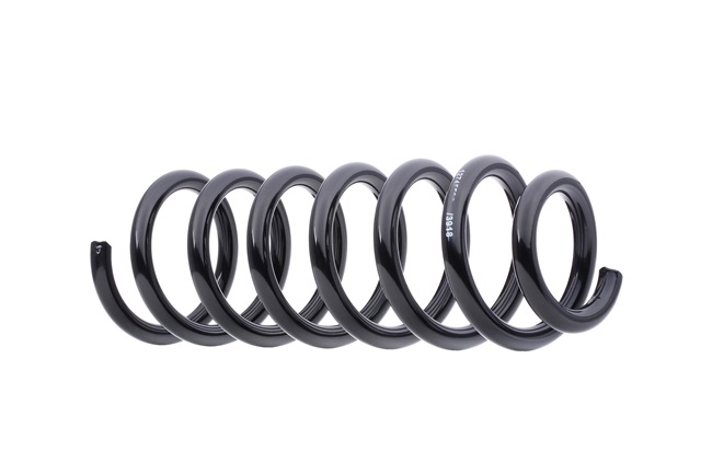 Suspension Spring RIDEX 188C0402 188C0402 - photo 1