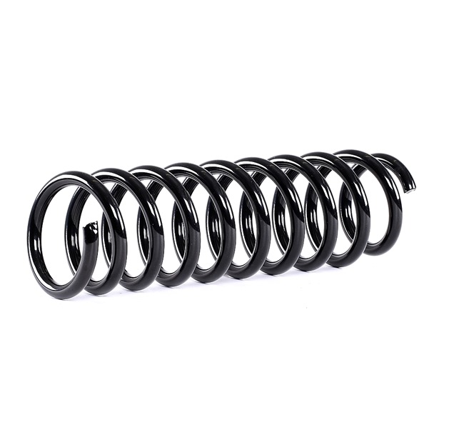 Suspension Spring RIDEX 188C0542 188C0542 - photo 1